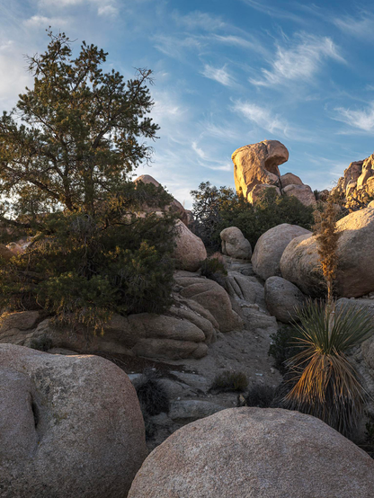 Rock formation in Joshua Tree National Park with only the top light by sunrise, and cirrus clouds in sky.