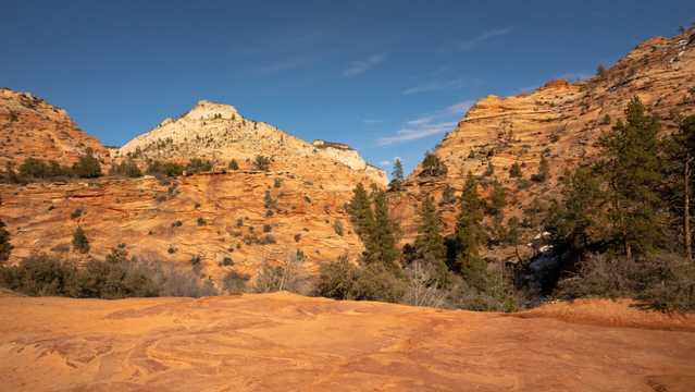 Wide landscape of Zion National Park, with mountain ranges, brush, and Ponderosa Pine. The ground shows the formation of the rock-face over time.
