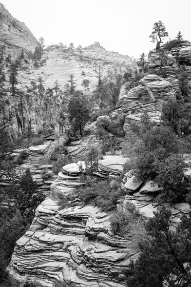 Trees and a sandstone rock formation near the Zion-Mount Carmel Highway.