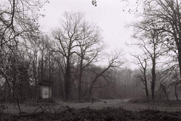 [english below] Das Schwarz-Weiß-Foto wurde im Schlosspark Hohenprießnitz im Winter bei nebligem Wetter aufgenommen. Es zeigt eine kleine Wiese auf welcher sich ein Mensch, ein rennender Hund und ein Denkmal befinden. Die Bäume, vermutlich Eichen, sind unbelaubt und teilweise groß und knorrig.

[english] This black-and-white photograph was taken in Hohenprießnitz Palace Park in winter under foggy weather. It shows a small meadow with a person, a running dog, and a monument. The trees, presumably oaks, are leafless and some are large and gnarled.