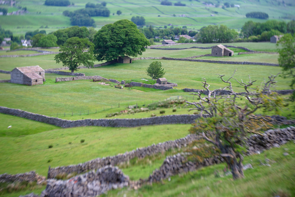 A photograph showing stone barns in fields with dry stone walls as boundaries. The foreground blur gives it a strange look as though you were looking down on a model village version of the fields.