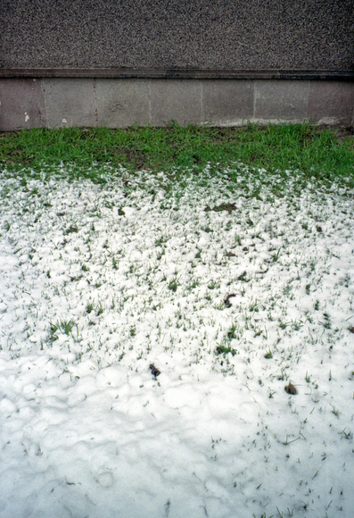 The photo shows white, wet snow, with a strip of green grass sticking out from under it. The lower part of the gray granite building is visible behind the grass.