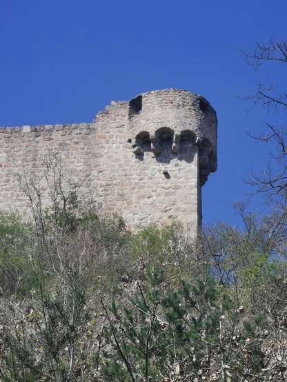 Tour d'angle d'un château médiéval