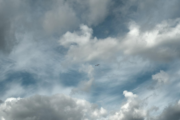 Fotografía de un dramático cielo nuboso con un aguila volando en la lejania en el centro del cuadro.