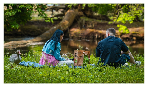 Ein Paar sitzt auf einer Wiese am Wasser, umgeben von grünen Bäumen. Eine Gans erkundet neugierig die Nähe der beiden. Ein Picknickkorb steht dabei.