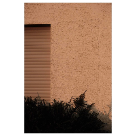 Vor einer grob verputzten Hauswand steht ein niedriger Busch neben einem mit einem Rollo verschlossenen Fenster. Tiefe Abendsonne taucht das Bild in warmes Orange. 