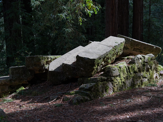 some broken steps that once belonged to a large estate on top of Mt. Madonna