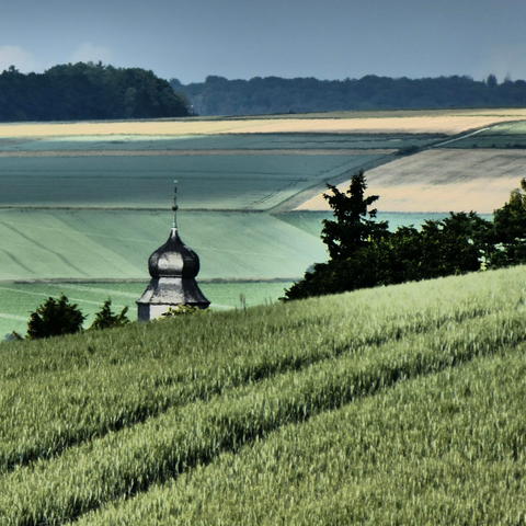 Wir sehen eine frühsommerliche hügelige Argarlandschaft. Im Hintergrund Wälder, davor grüne und gelbe Kornfelder, auch im Vordergrund sehen wir ein grünes Kornfeld, vielleicht Weizen. Wir erkennen halblinks die Haube eines Kirchturms in der Senke.