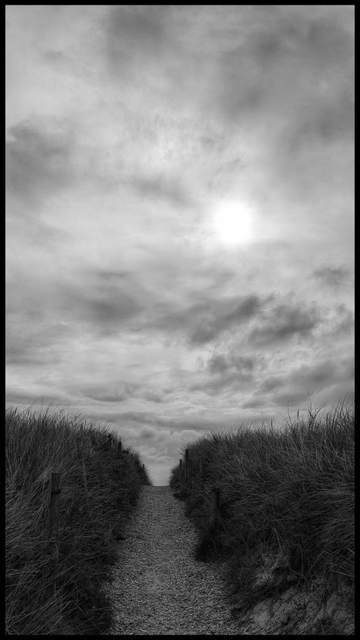 Schwarz-weiß-Foto eines Fußwegs durch die Dünen.