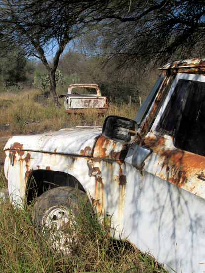 The image depicts two rusted, abandoned vehicles in a natural, overgrown setting. The foreground features a white truck with extensive rust and peeling paint, its body partially obscured by tall grass. The truck's side mirror is missing, and the tire is flat, indicating long-term neglect. In the background, another similar truck is visible, also heavily rusted and weathered, with its bed partially visible. The surrounding area is a mix of grass, shrubs, and trees, suggesting a rural or semi-arid environment. The sky is clear, and the scene is bathed in natural light, highlighting the contrast between the decaying vehicles and the vibrant greenery.

Provided by @altbot, generated privately and locally using Ovis2-8B

🌱 Energy used: 0.182 Wh