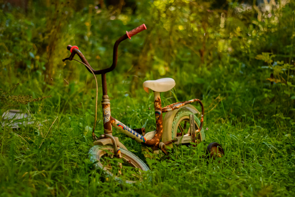 Das Bild zeigt ein verrostetes, verlassenes Kinderfahrrad, das im hohen Gras steht.

Das Foto zeigt ein rostiges Kinderfahrrad, das in hohem Gras liegt. Das Fahrrad ist klein und scheint aus Metall zu sein, mit Rostspuren an vielen Stellen.  Die Farbe des Fahrrads ist verblasst und man kann noch Reste von bunten Aufklebern oder Farbe erkennen. Der Sattel ist weiß und der Lenker ist leicht nach oben gebogen.  Das Fahrrad steht schräg im Gras, das hoch und grün ist.  Der Hintergrund ist unscharf, zeigt aber einen grünen Wald oder Buschwerk. Das Licht scheint von vorne oder leicht seitlich zu fallen, was einige Lichtreflexe im Gras erzeugt.  Die Szene strahlt eine ruhige, aber auch etwas melancholische und verlassene Stimmung aus.  Das Bild könnte eine Geschichte von vergessener Kindheit oder Vergänglichkeit erzählen.
