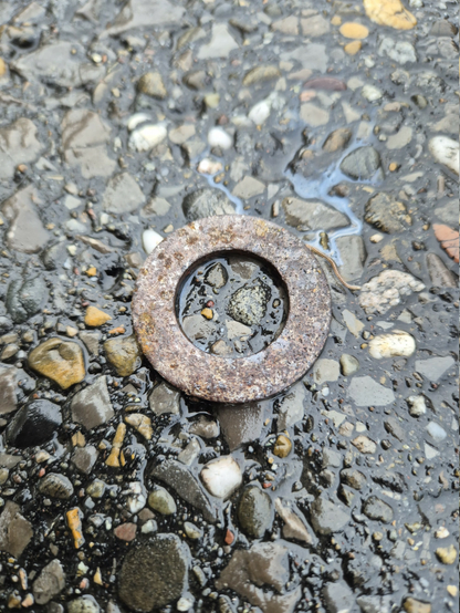 Zu sehen ist eine Nahaufnahme einer kleinen, rostigen, kreisrunden Unterlegscheibe auf nassem Asphalt.