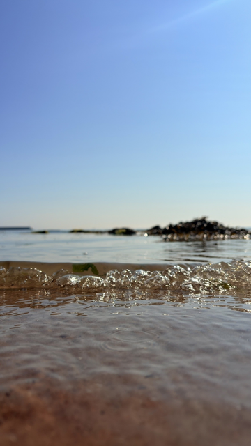 Gentle waves ripple across the water's surface under a clear blue sky, with distant rocks in the background.