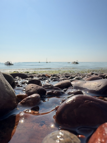 Smooth rocks are scattered along a tranquil beach with boats in the distant ocean under a clear blue sky.