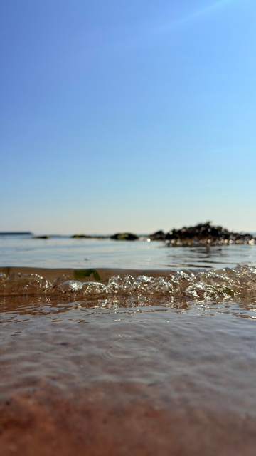 Gentle waves ripple across the water's surface under a clear blue sky, with distant rocks in the background.
