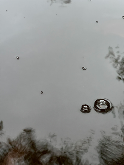 This photograph shows the surface of a still, gray puddle with several small bubbles breaking through. In the lower right, two prominent bubbles reflect light, one larger and one smaller, appearing almost like twin lenses. Around the frame’s edges, soft, blurry reflections of surrounding trees and sky create a quiet, almost ghostlike border.