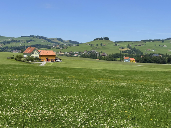 zwei bauernhäuser auf der grossen wiese