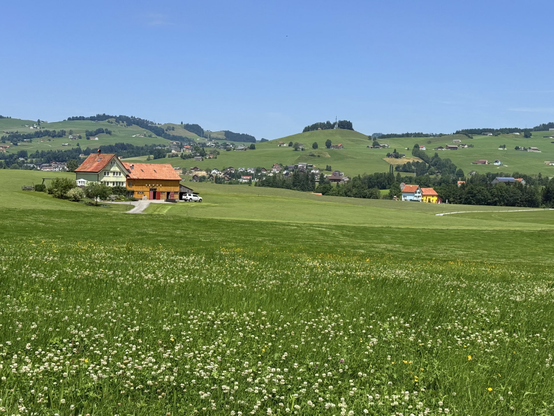 zwei bauernhäuser auf der grossen wiese