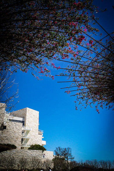 The image features a modern architectural structure with a light-colored stone facade, set against a clear blue sky. The building has multiple levels, with white railings and balconies visible. In the foreground, branches with pink flowers arch over the scene, creating a natural frame. The flowers are vibrant and contrast with the blue sky. The building is partially obscured by the branches, adding depth to the composition. The overall scene is bright and sunny, with no visible clouds.

Provided by @altbot, generated privately and locally using Ovis2-8B