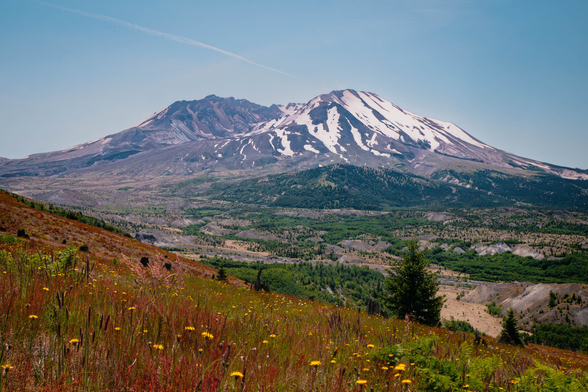 A mountain peak with snow and a crater from a previous volcanic eruption with lava trails overgrown with vegetation and colorful grasses below.
