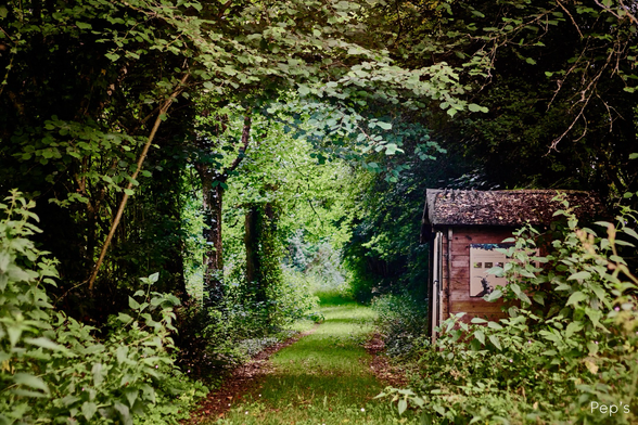 Chemin de promenade avec des arbres à gauche et une cabane à droite 