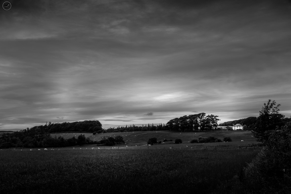 farmland and trees with sheep in field, lone farm house to far right, cloud covered sky above