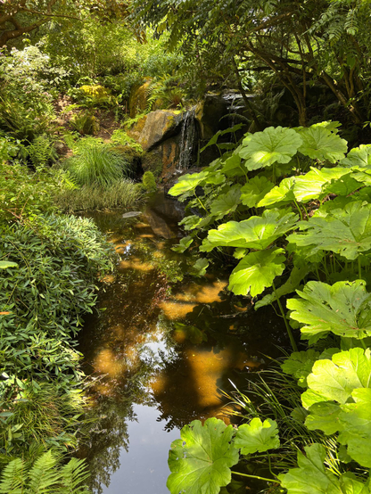 Waterfall and pond 