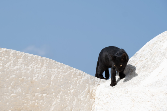 Picture of a black cat trying to climb down a white roof.