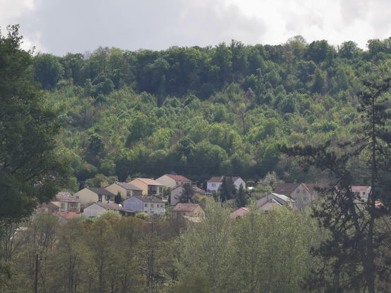 Quelques maisons isolées au sein d'un massif forestier