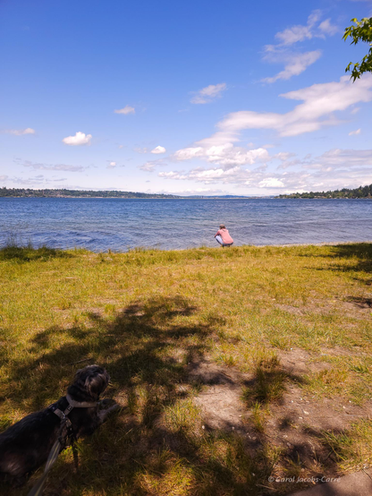 n afternoon photo over a blue Lake Washington from Seward Park. The shore is grassy with shade from trees . My sister is by the shore looking out. You can see a Seattle suburb across the way. The sky is summer blue with fluffy clouds. 