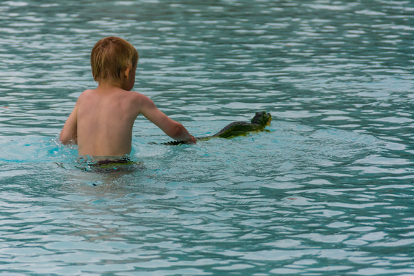 A young boy seen from almost behind plays with a toy crocodile in water. There is no other contextual clue as to where this was taken.
