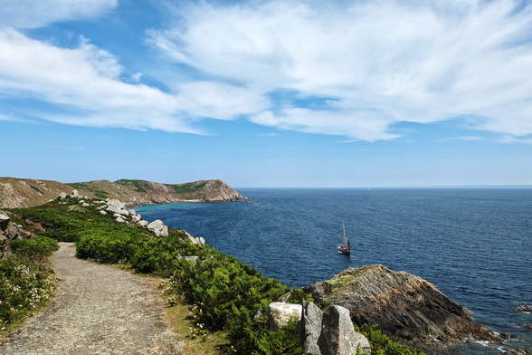 Photography of a coastal landscape in Brittany. Island coast, ferns by a pathway, blue sea and a sailboat.