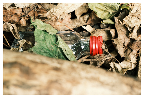 Eine kleine Glasflasche mit rotem Schraubverschluss liegt halb verborgen zwischen trockenem Laub und einem Baumstamm. Die Flasche ist leer und leicht verkratzt, teilweise bedeckt von einem großen, grünen Blatt. Die Szene vermittelt ein Gefühl von Verlassenheit und Umweltverschmutzung in einem natürlichen Umfeld.