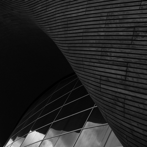 Monochrome photo of a complexly curved convex wooden wall that bends back on and under itself to form a concave overhang collecting shadows above a large array of windows, separated by thin white frames that reflect the darkness and then, at the bottom, the sky.