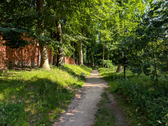 Der Betrachter blickt einen unbefestigten Weg entlang. Links und rechts stehen große alte Rotbuchen. Auf der linken Seite verläuft parallel zum Weg auf einem Wall eine Mauer aus rotem Backstein.