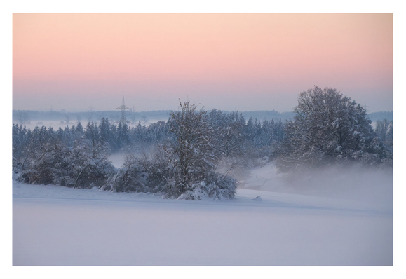 View of snowed in trees and hedges in a field and forests in the background. Fog drifting between. The completely clear sky is tinted in a gradient of orange, pink and purple