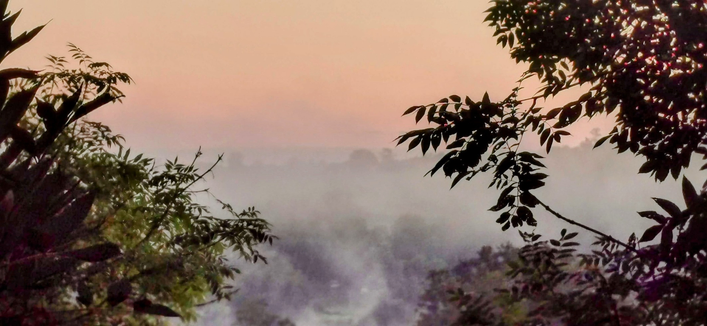 Sonnaufgang. Ein zartrosa Himmel, darunter dichter  Morgennebel. Schemenhaft zeichnen sich Konturen von Bäumen ab. Im Vordergrund links und rechts ragen Zweige von Laubbäume dunkel ins Gegenlicht.