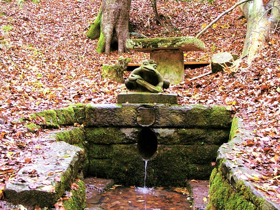 Farbfoto vom Studentenbrünnele im Wald in der Nähe von Maulbronn, Baden-Württemberg. Über dem in einer Steinmauer gefassten Brunnen thront eine sitzende Froschskulptur. Dahinter ein Tisch aus Stein und eine Bank. Überall liegt gefallenes oranges Buchenlaub. Farbstich durch die verwendete Digitalkamera der ersten Jahre.