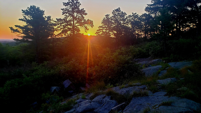 Dawn and sunrise this morning, June 20th, from Buck Hill!