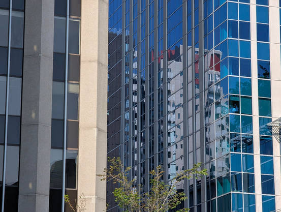A tall building with many reflective blue glass windows stands on the right, mirroring the facade of a light-colored building with rectangular windows and a red roof. To the left, a portion of a concrete building with vertical rectangular windows is visible. A small tree with green leaves is in the foreground, partially obscuring the reflections in the blue glass building.