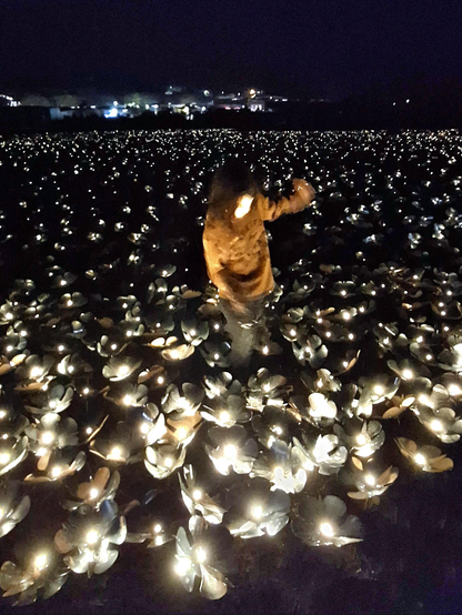 The image depicts a nighttime scene with a person standing amidst a vast field of illuminated flower-shaped objects. The person is wearing a warm, patterned jacket and appears to be interacting with the lights. The flowers are metallic and emit a soft, warm glow, creating a mesmerizing effect against the dark background. The field of lights stretches out to the horizon, with a faint outline of a town or city visible in the distance, adding depth to the scene. The overall atmosphere is serene and enchanting, with the lights creating a sense of wonder and tranquility.

Provided by @altbot, generated privately and locally using Ovis2-8B

🌱 Energy used: 0.153 Wh