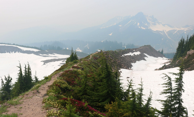 Photograph of a trail on top of a ridge, with small green spruces and yellow, white and red flowers growing on each side. White glacier covers the lower ground to the left and right of the trail. In the background large mountains with snow on top form a very hazy but still blue landscape, due to forest fires in the province that year, giving them a ghostly appearance.
