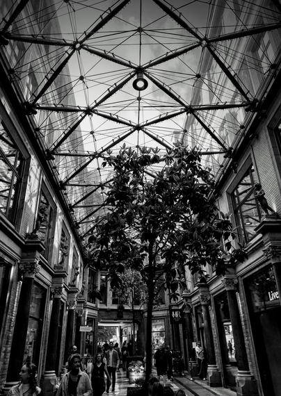 glass ceiling over tree in courtyard