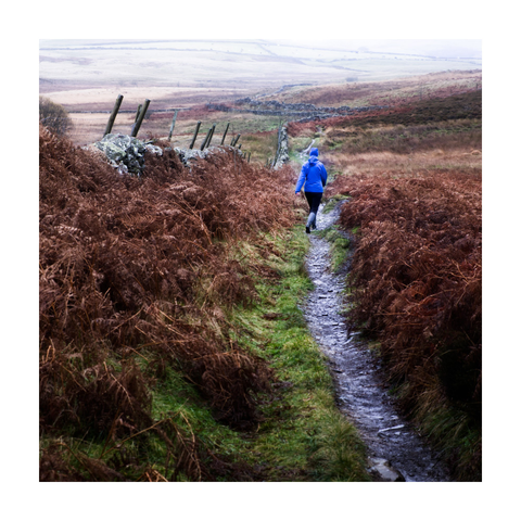 A square color photograph framed with a white border, showing a person in a bright blue rain jacket walking away along a narrow, muddy footpath. The path winds gently through a moorland landscape dominated by brown, withered bracken and patches of green grass. On the left, an old dry stone wall runs parallel to the path, reinforced with uneven wooden fence posts that lean at varying angles. The landscape stretches softly into the distance under a pale, overcast sky, with muted colors and diffuse light suggesting damp, cool conditions. The vivid blue of the jacket stands out starkly against the subdued tones of the surrounding terrain.