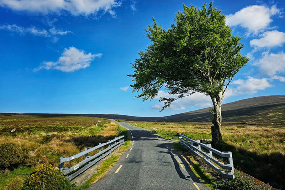 A narrow, winding country road with a light grey guardrail on either side extends into the distance through a vast, grassy moorland under bright blue sky with scattered white clouds. To the right of the road stands a large, leafy green tree, casting a long shadow. Rolling hills rise in the background on the right, and the overall scene evokes a sense of peaceful, open wilderness.