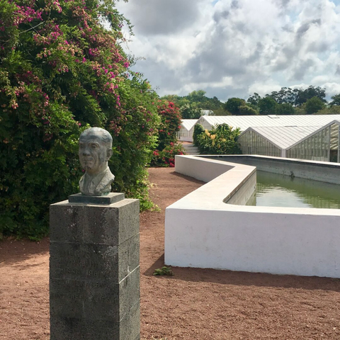 A bronze bust stands on a plinth in front of the white-walled water reservoir and, further back, greenhouses for the cultivation of pineapples.