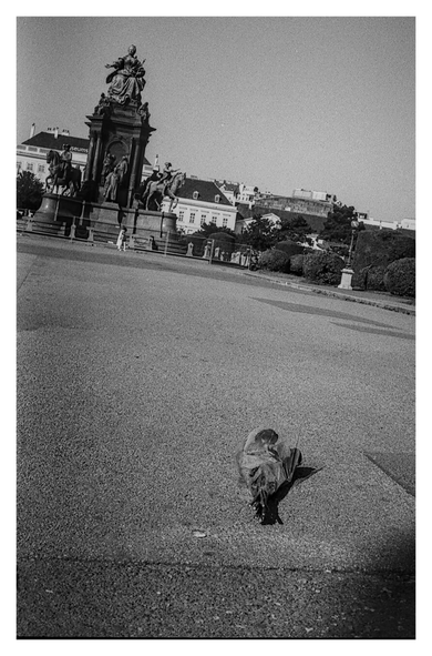 Black and white photograph of the public square inbetween the Kunsthistorisches and the Naturhistorisches Museum with the statue of Maria Theresia in the background. In the foreground, a bouquet of roses wrapped in cellophane lies on the pavement. The Statue and the Buildings in the background are slightly tilted due to the diagonal camera angle.