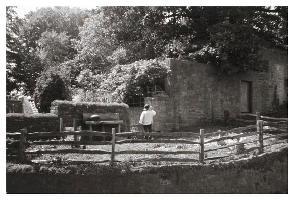 Vintage looking black and white film photograph showing a poultry farmer of old guzzling a flagon of cider.  Well, that's what I think he was doing.  He's seen from behind, a bit of a distance away, standing in a sunny paddock with geese.