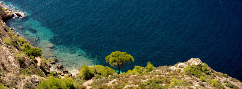 Steep rocky cliff with sparse vegetation and a lone tree, overlooking a clear, deep blue sea. The coastal water near the shore gradually shifts to lighter turquoise, suggesting shallow depths.