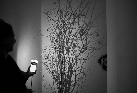 Das Bild zeigt eine Person, die mit einem Smartphone ein Kunstwerk fotografiert. Das Kunstwerk besteht aus einem kahlen, weißen Baum auf einem hellen Hintergrund. Hinter dem Baum ist ein Schatten oder eine Projektion eines Gesichts an der Wand zu sehen. Das Foto ist in Schwarz-Weiß gehalten. (Aria)